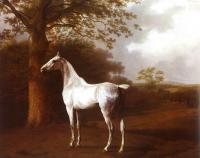Agasse, Jacques-Laurent - White Horse in Pasture